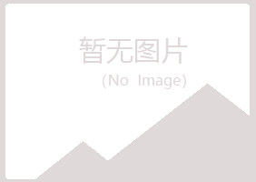 偃师心疼能源有限公司